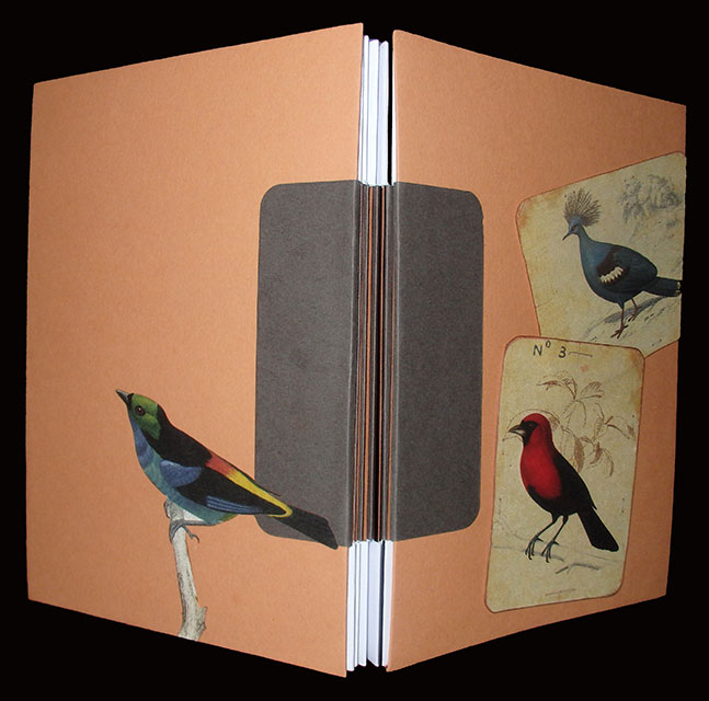 Nonadhesive bookbinding Ink & Paw Prints